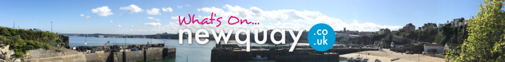 What's On in Newquay? There are so many events happening in Newquay, from gigs, surfing and skating festivals, music, sea safaris, cultural and seasonal and theatre events.