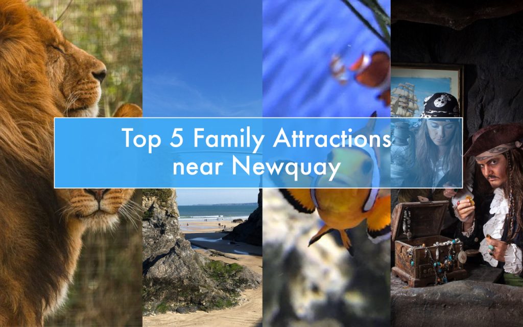 top 5 family attractions near newquay
