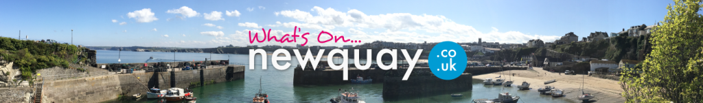 What's On in Newquay? There are so many events happening in Newquay, from gigs, surfing and skating festivals, music, sea safaris, cultural and seasonal and theatre events.