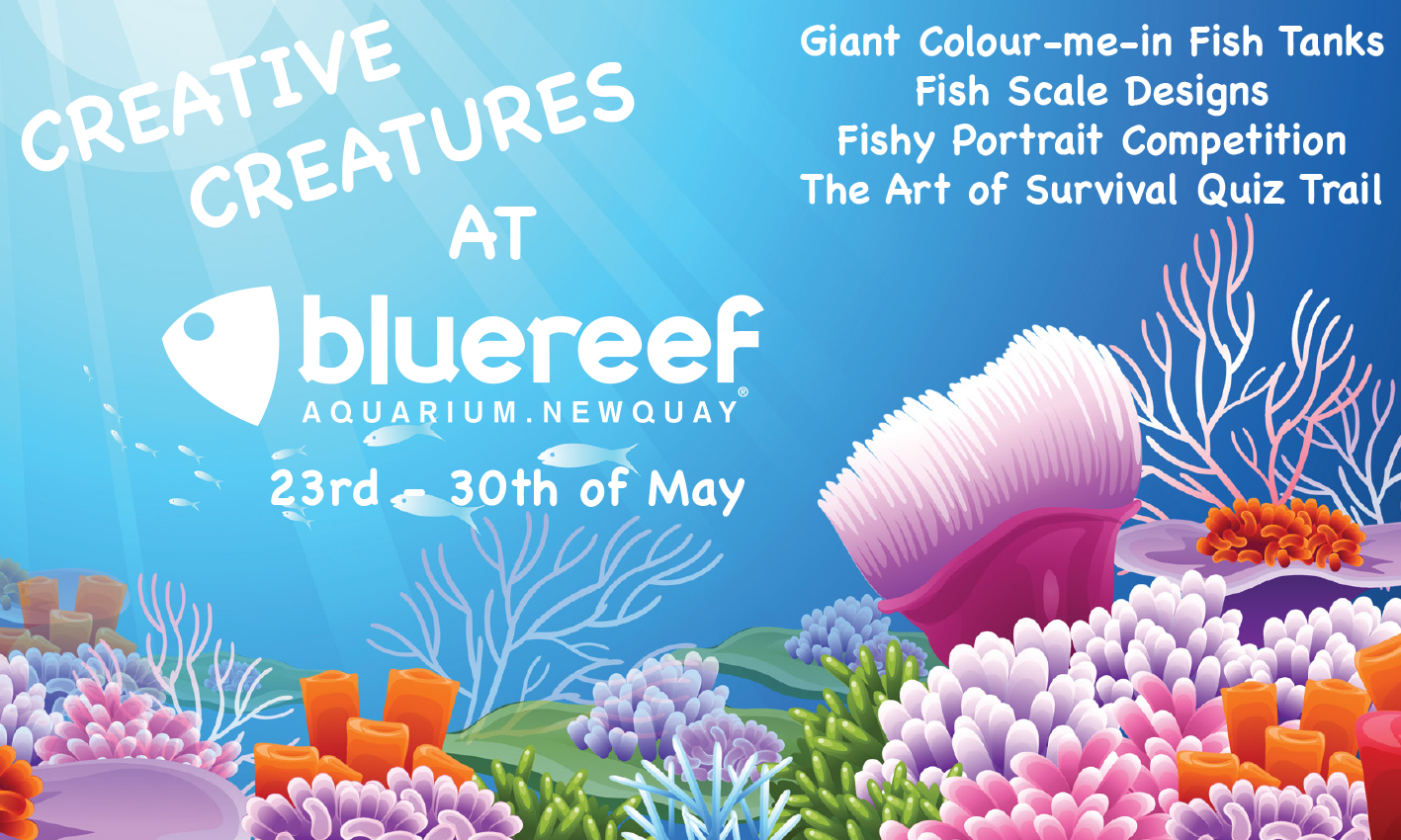 Creative Creatures at Blue Reef Aquarium Newquay