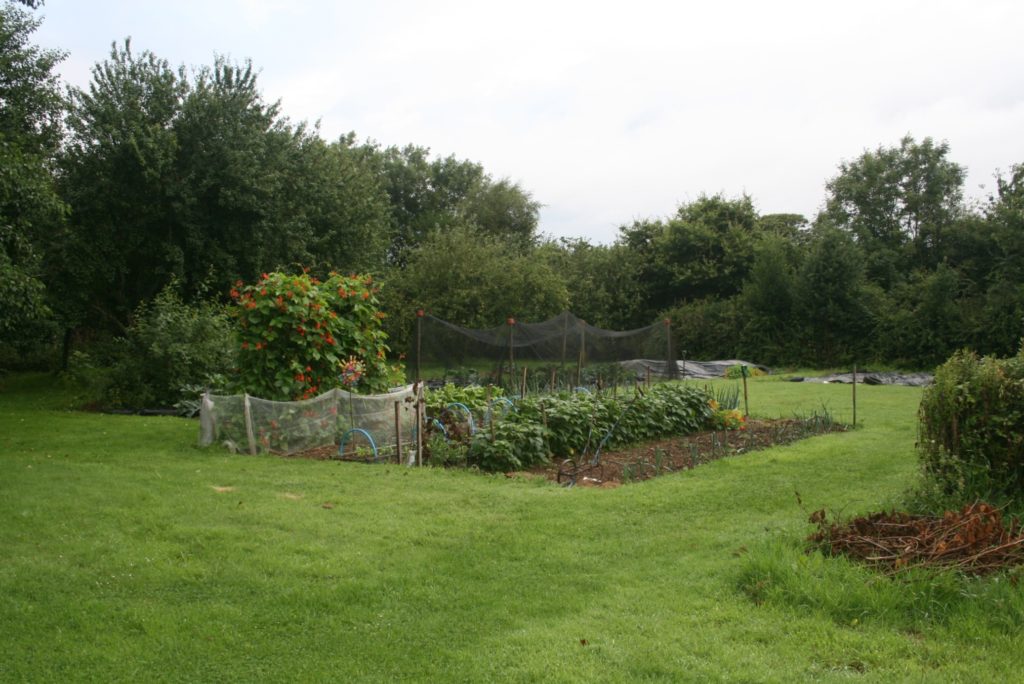 Vegetables are just as important as flowers at 2 Trenance Cottages