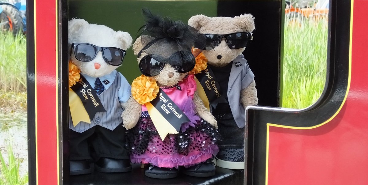 teddy bear picnic at Lappa Valley