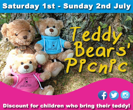 Teddy-Bears-Picnic- Camel Creek