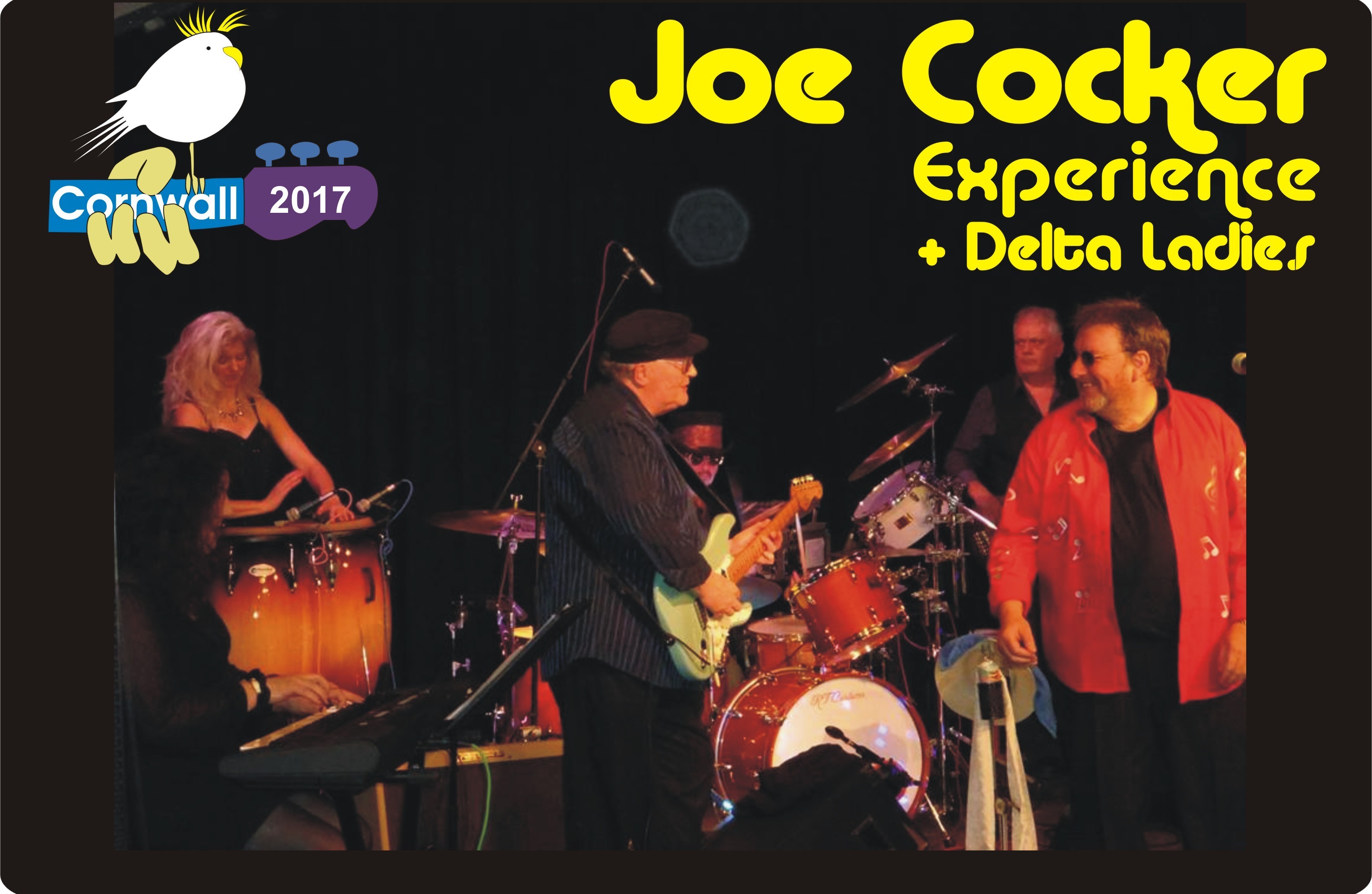 Joe Cocker Experience at Lane Theatre