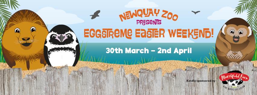 newquay zoo eggstreme easter