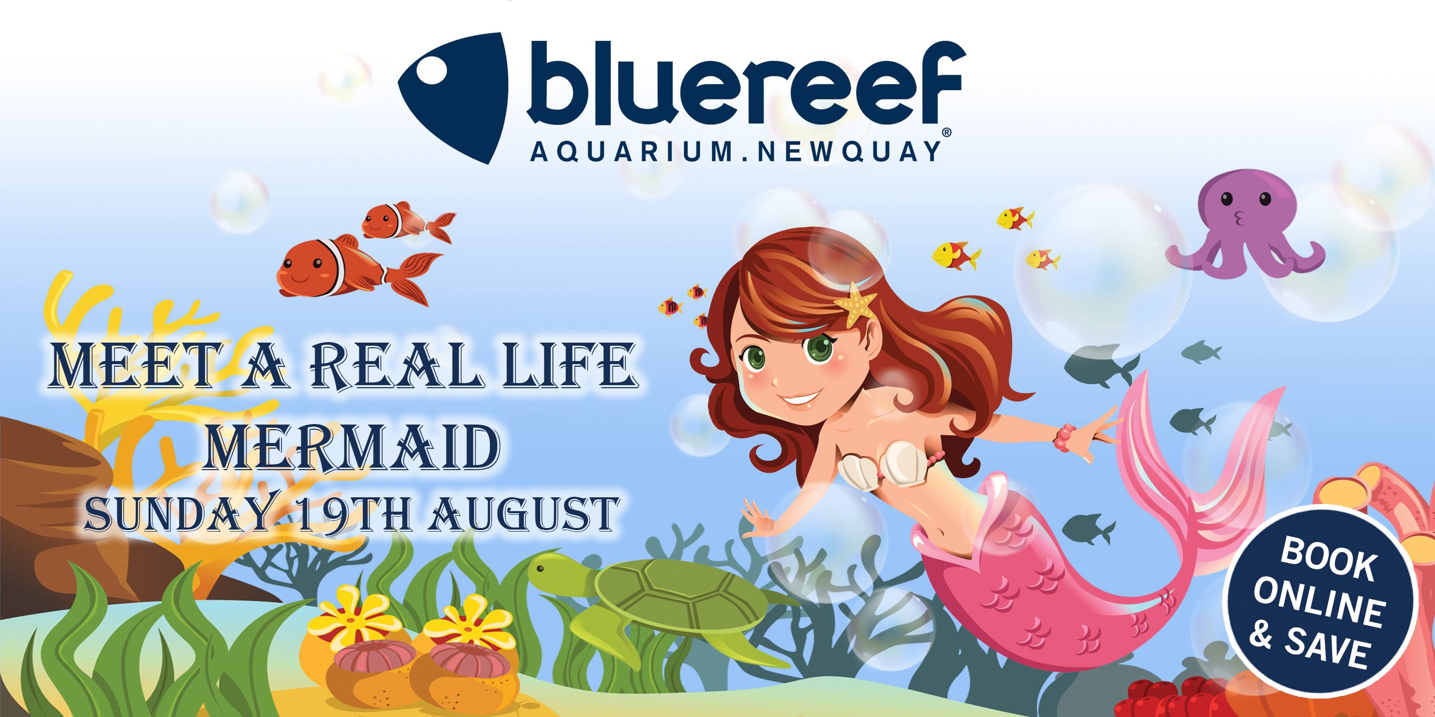 Meet a mermaid at Blue Reef Aquarium Newquay
